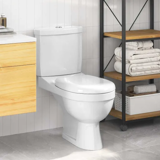 Inodoro WC Con Cisterna Blanco