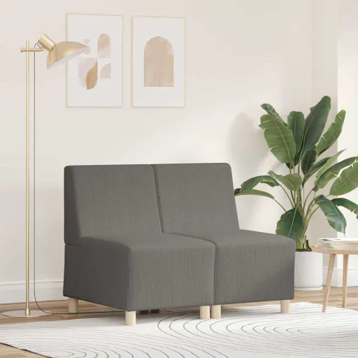 Unidad de Sofá Modular Sin Brazos   Gris Claro (2 pcs)