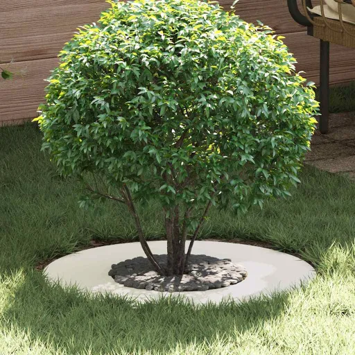 Adecuado Para Anillo de Árbol Plano Ø30 / 60 cm Acero