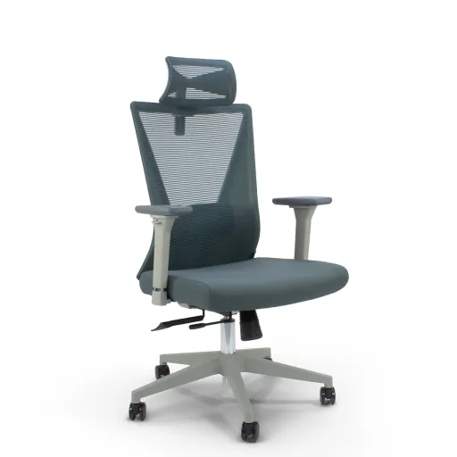 Sillas de Oficina Ejecutiva Maui Pecunia Riva