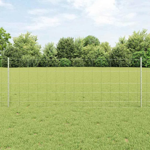 Valla Con Poste Plateado 0,8 x 25 m Acero