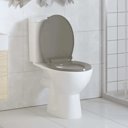 Tapa y Asiento de Váter Con Cierre Suave Ovalada Gris