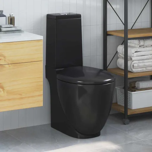 Inodoro WC Redondo de Cerámica Con Cisterna Negro