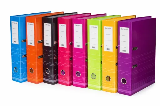 Carpeta Archivadora Cartonex Verde a Rayas Con Lomo Ancho, 10 Unidades