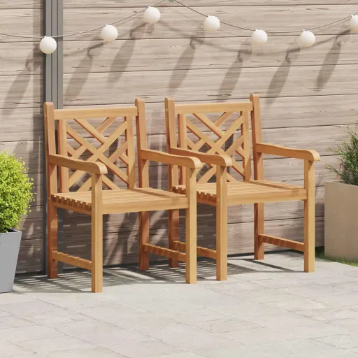 Silla   Marrón 60 x 58 x 90 cm Madera de Teca Maciza (2 pcs)
