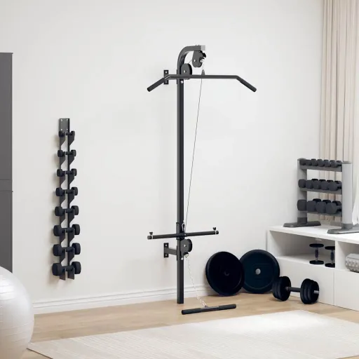 Gimnasio en Casa de Pared Con 2 Poleas