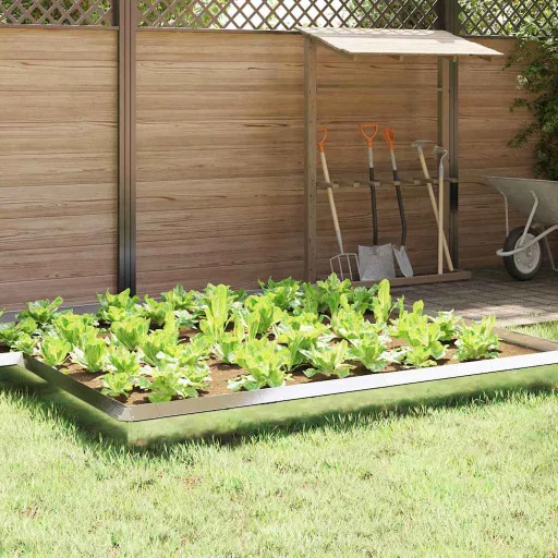 Valla Para Caracoles Plateado 50 x 3,5 x 25 cm Acero Inoxidable
