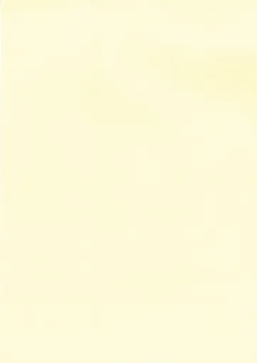 Papel Crema Texturizado 100g 100 Hojas