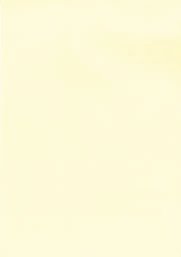 Papel Crema Texturizado 200 g