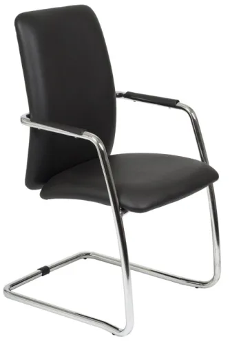 Silla Fija Director Con Base Trineo Cromada