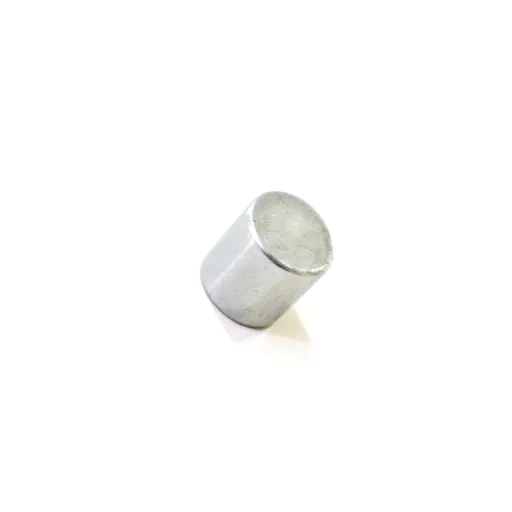 Imanes Extra Fuertes 2ud – Bi-Office