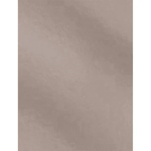 Cartulina Campus 50x65 Plateado 250g - Campus