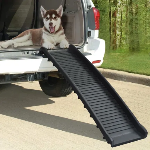 Rampa Para Perros Plegable Negra 155,5x40x15,5 cm