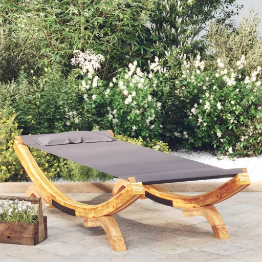 Tumbona Con Dosel Madera Curvada Gris Antracita 100x188,5x44 cm