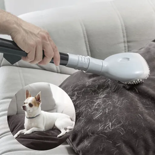 Cepillo Para Aspirador Smoovah InnovaGoods