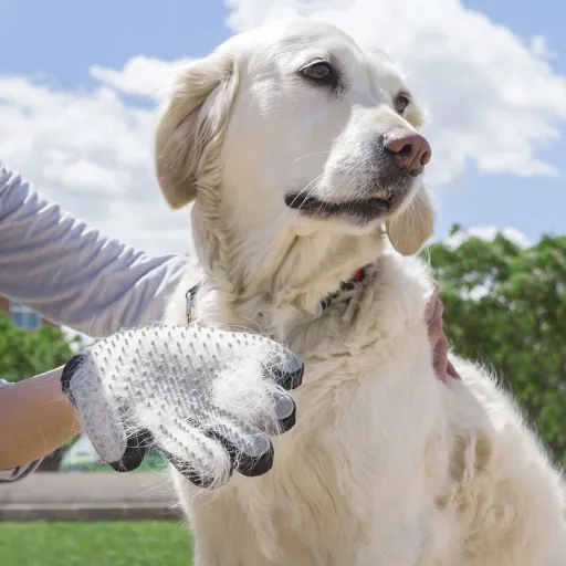Guante Para Cepillar y Masajear Mascotas Relpet InnovaGoods