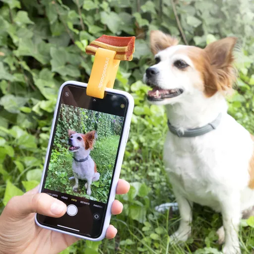Clip de Selfies Para Mascotas Pefie InnovaGoods