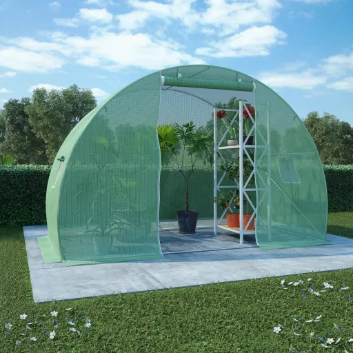 Invernadero 4,5 m² 300x150x200 cm