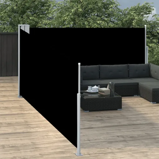 Toldo Lateral Retráctil Negro 100x1000 cm