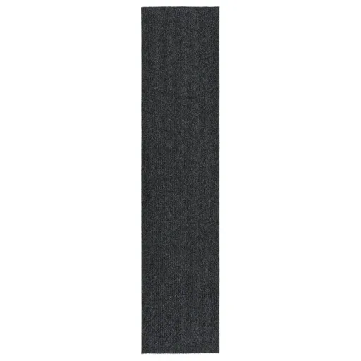 Alfombra de Pasillo Atrapa Suciedad 100x450 cm Gris Antracita