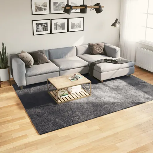 Alfombra de Pelo Corto Suave Lavable HUARTE Antracita 200x280cm
