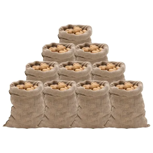 Sacos de Yute 10 Unidades 60x105 cm 100% Yute 220 g/m²
