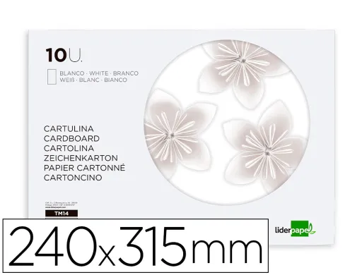 Bloc Trabajos Manuales Liderpapel Cartulina 240x315mm 10 Hojas Color Blanco