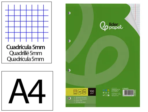 Recambio Liderpapel a4 100 Hojas 100g/m2 Cuadro 5mm Con Doble Margen 4 Taladros